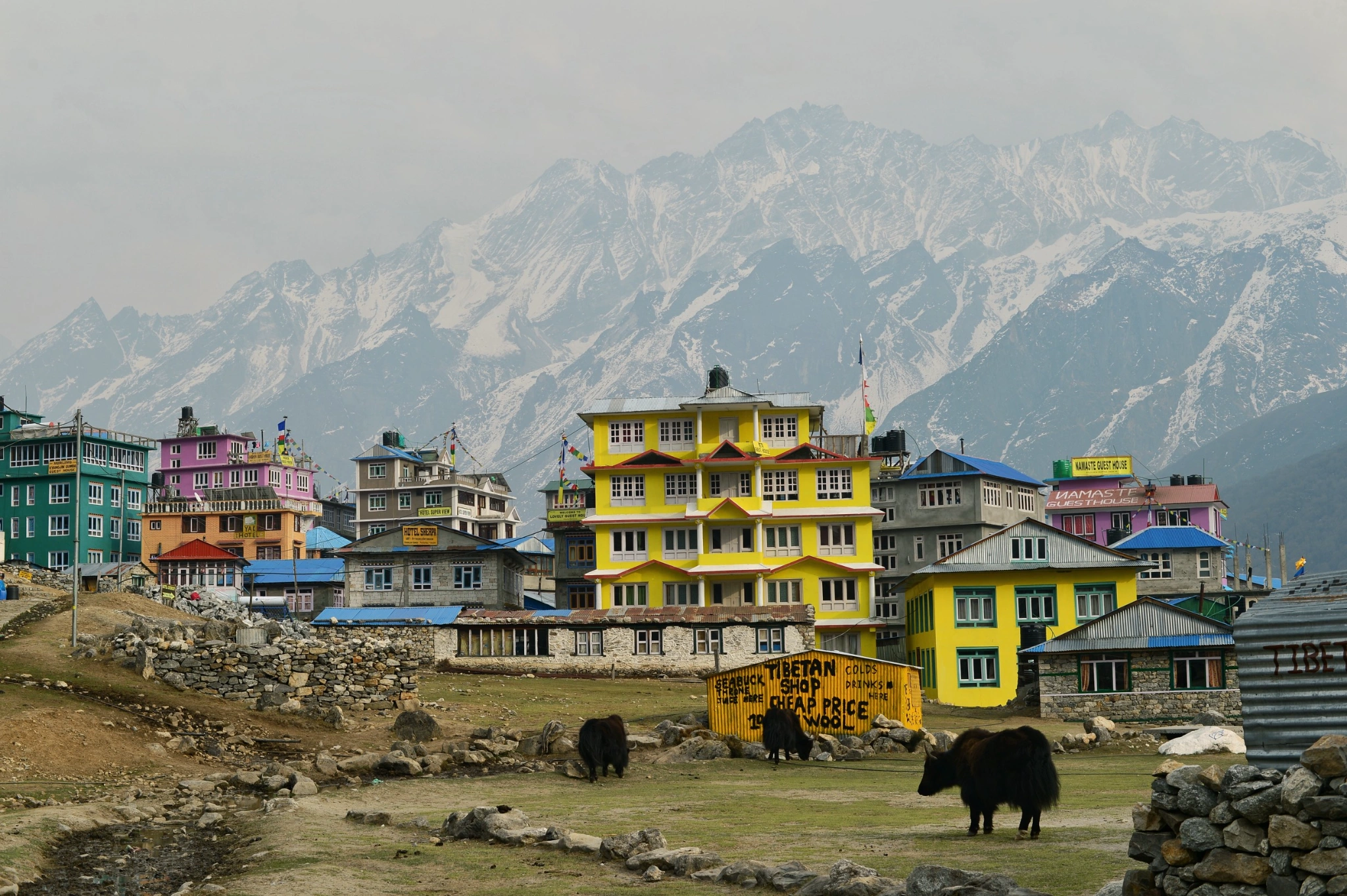 Langtang Valley Trekking